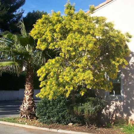 ホテル Stars Antibes ビオ エクステリア 写真
